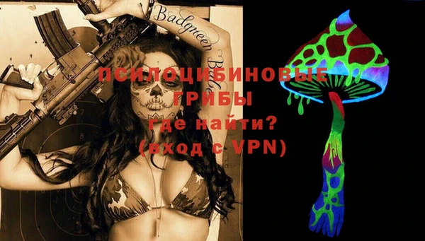гидра Верея