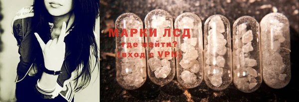 гидра Верея