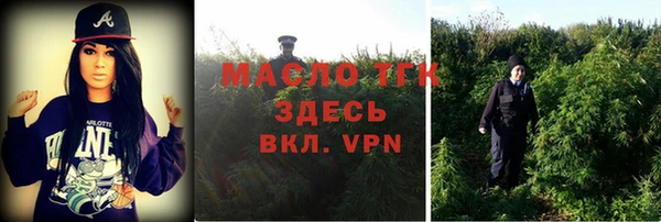 гидра Верея
