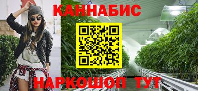 apvp Лесосибирск
