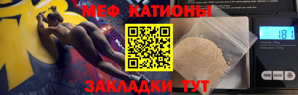 МЕФ Выборг