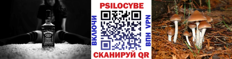 Галлюциногенные грибы Psilocybine cubensis купить закладку Выборг