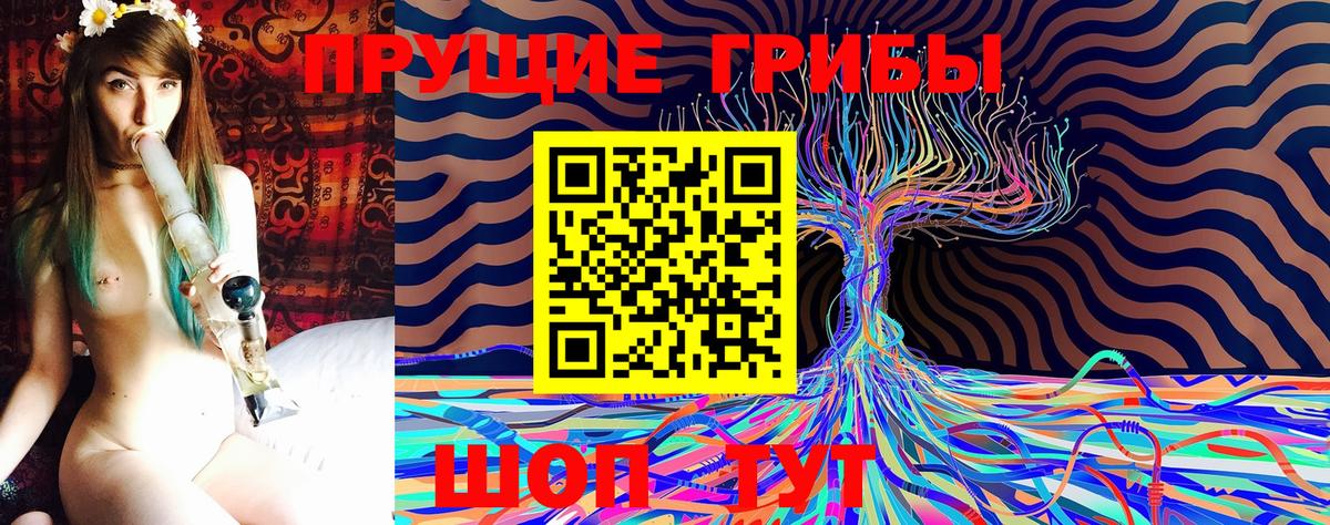 где можно купить наркотик  Вход с VPN  Выборг  Псилоцибиновые грибы ЛСД 