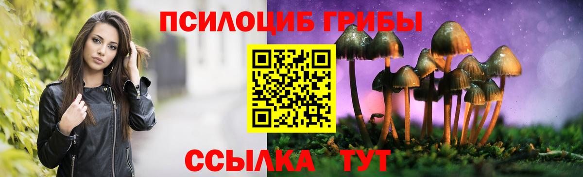 Галлюциногенные грибы Psilocybine cubensis Выборг