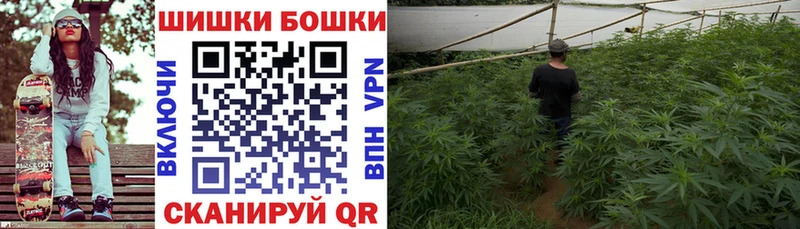 МАРИХУАНА план  Выборг 